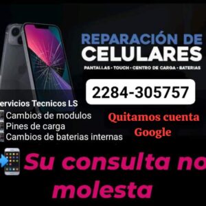 Servicio Técnico LS