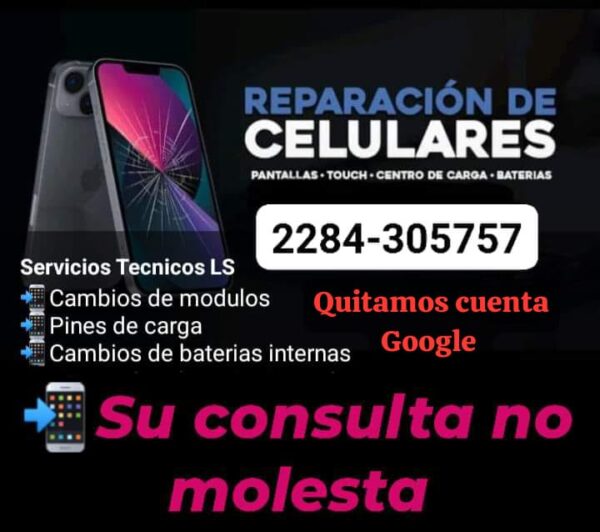 Servicio Técnico LS