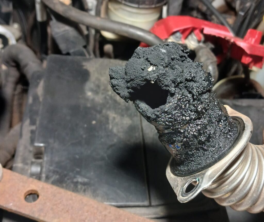 6546aa44-58d4-4728-98bb-2910542148a1