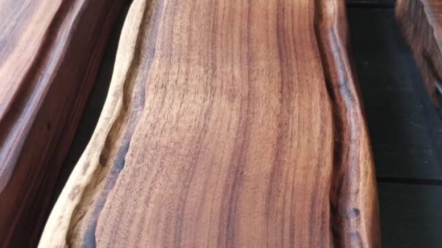 Captura de pantalla 2026-02-19 141729