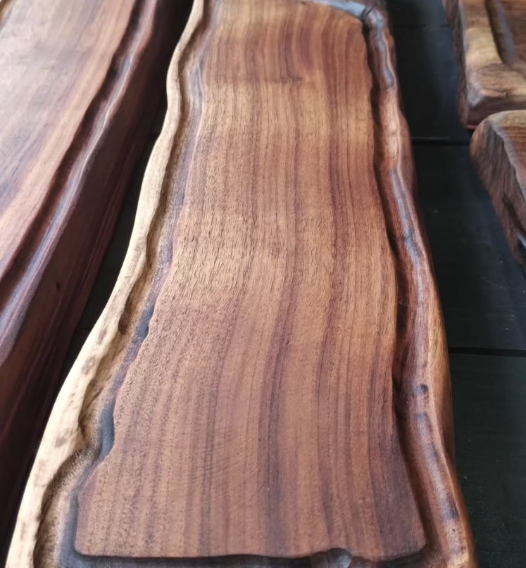 Captura de pantalla 2026-02-19 141729