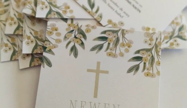 Captura de pantalla 2026-02-22 181300