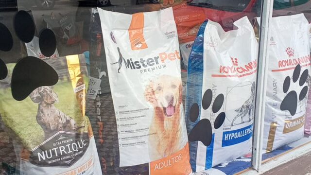 155dd272-1cb6-4cc8-8705-8b052c07e412