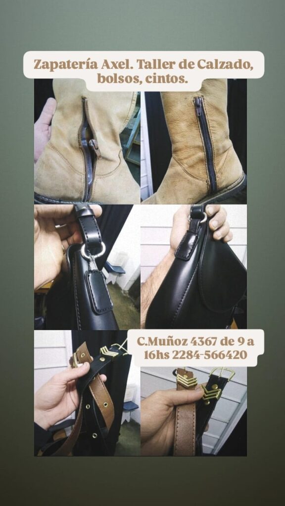 1f6a2c53-1f6b-4393-9b96-86294bc04e47