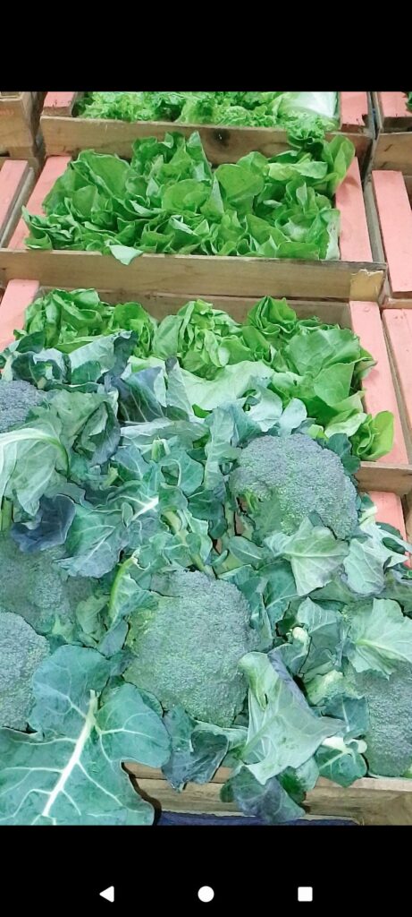 543370375_122187216632324520_8942954869929326914_n