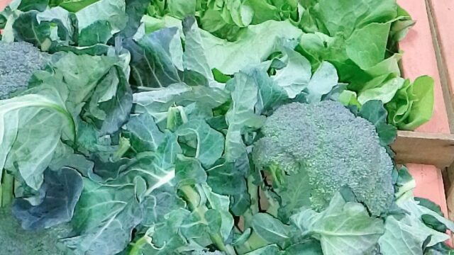 543370375_122187216632324520_8942954869929326914_n