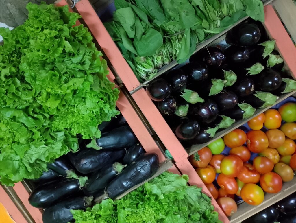 547458334_122187975320324520_1999138486360090423_n