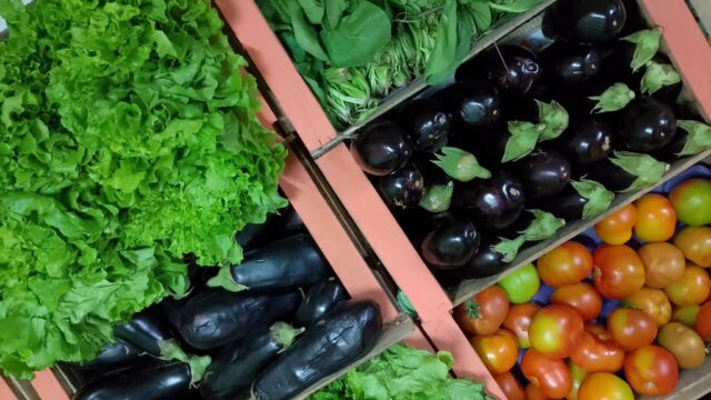 547458334_122187975320324520_1999138486360090423_n