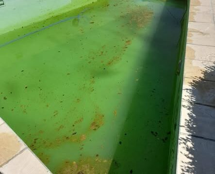 564568134_1571165297657508_4527523520639893741_n