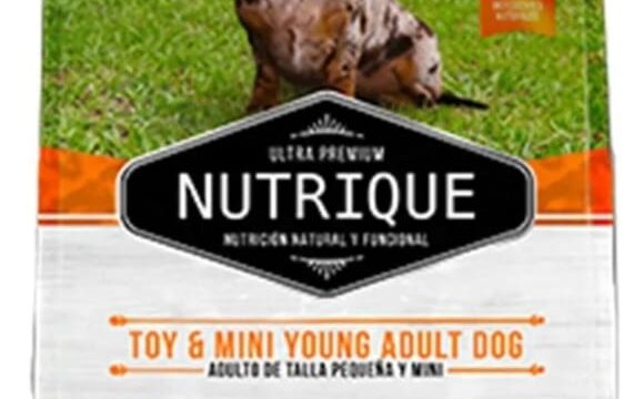 5a13006e-28e4-4159-b6a7-f2927efde656