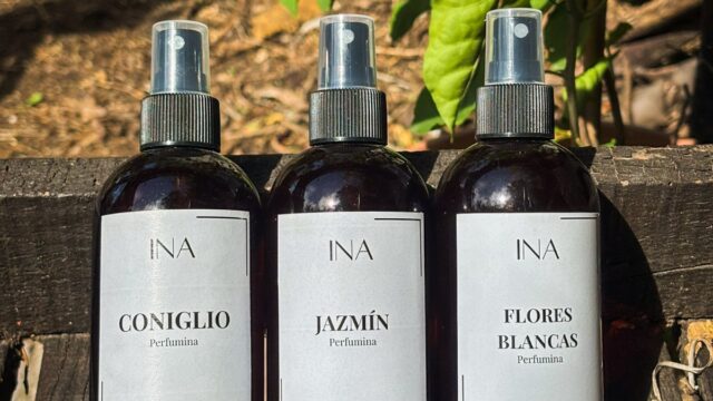 d1c12be9-334e-4439-a604-edb0ffd5d202 – copia