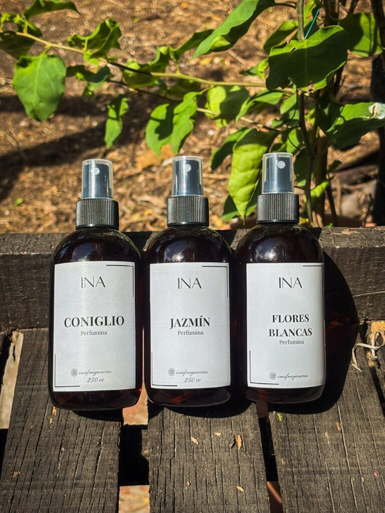 d1c12be9-334e-4439-a604-edb0ffd5d202 – copia