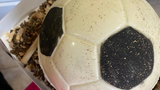 d2351b9a-fe2e-4107-8389-cd523455544a