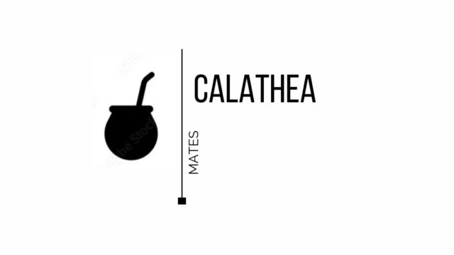 d9cf337f-269b-407e-9452-d9c7c971ad44