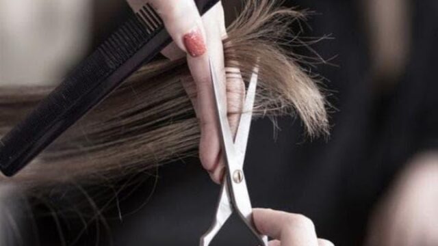 e9d6ba50-1c01-468a-ae03-7abef0e8d2cd